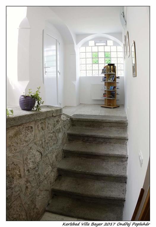 Apartmán Vila Bayer Karlovy Vary Kültér fotó
