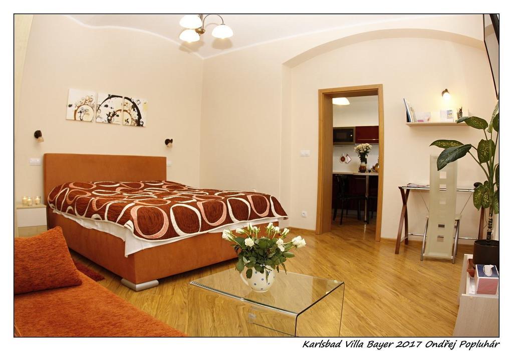 Apartmán Vila Bayer Karlovy Vary Kültér fotó
